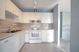 Photo 8: 77 Edgehill Drive NW in Calgary: Edgemont Semi Detached (Half Duplex) for sale : MLS®# A2001560