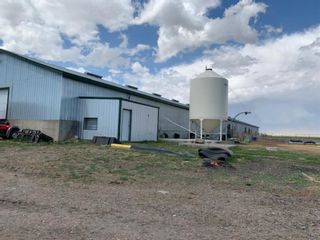 Photo 6: 253044 162 Township: Rural Vulcan County Industrial Land for sale : MLS®# A2011993