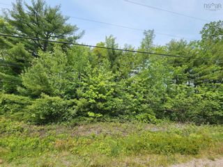 Photo 3: Lot 15 Charlton Road in West Springhill: Annapolis County Vacant Land for sale (Annapolis Valley)  : MLS®# 202400082