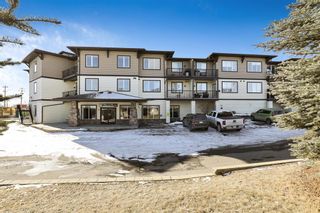 Photo 2: 213 43 Sunrise Loop SE: High River Apartment for sale : MLS®# A2025860