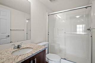 Photo 13: 4208 99 Copperstone Park SE in Calgary: Copperfield Apartment for sale : MLS®# A1211399