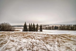 Photo 32: 24416 TWP RD 551: Rural Sturgeon County House for sale : MLS®# E4372465
