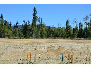 Photo 5: LOT 16 BELL Place in Mackenzie: Mackenzie -Town Land for sale in "BELL PLACE" : MLS®# N227309