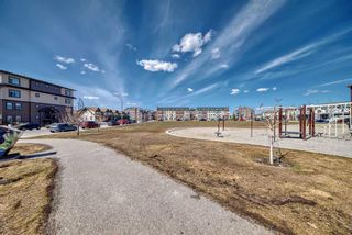 Photo 28: 3305 279 Copperpond Common SE in Calgary: Copperfield Apartment for sale : MLS®# A2122177