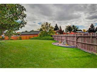 Photo 14: 545 RUNDLEVILLE Place NE in Calgary: Rundle House for sale : MLS®# C4079787