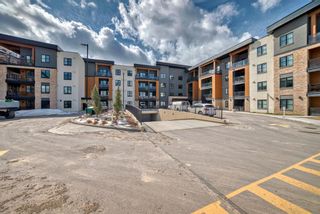 Photo 7: 119 8355 19 Avenue SW in Calgary: Springbank Hill Apartment for sale : MLS®# A2124441