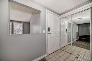 Photo 3: 111 Pinemill Mews NE in Calgary: Pineridge Detached for sale : MLS®# A2115447