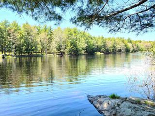 Photo 11: Lot 1 Medway River Road in Bangs Falls: 406-Queens County Vacant Land for sale (South Shore)  : MLS®# 202206174