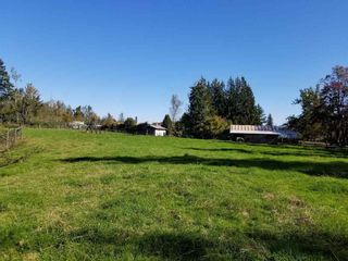 Photo 11: 30189 OLD YALE Road in Abbotsford: Aberdeen House for sale : MLS®# R2412392