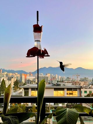 Photo 24: 708 238 WEST BROADWAY Avenue in Vancouver: Mount Pleasant VW Condo for sale in "CITTI" (Vancouver West)  : MLS®# R2664240