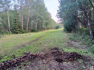 Photo 21: 22263 TWP. RD. 504: Rural Leduc County Vacant Lot/Land for sale : MLS®# E4317153