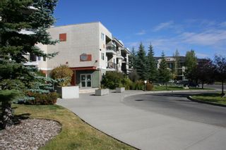 Photo 41: 69 SPRINGBOROUGH Court SW in Calgary: Springbank Hill Apartment for sale : MLS®# A1029583