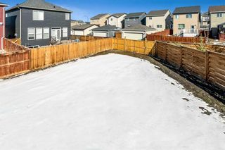 Photo 42: 44 Legacy Court SE in Calgary: Legacy Detached for sale : MLS®# A2119866