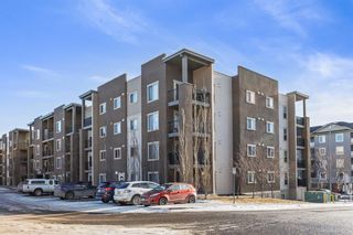 Photo 21: 9102 403 Mackenzie Way SW: Airdrie Apartment for sale : MLS®# A2018212