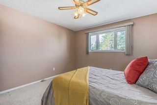 Photo 17: 4047 Dovercroft Road SE in Calgary: Dover Detached for sale : MLS®# A2054447