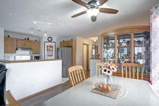 Photo 17: 94 Appleburn Close N in Calgary: Applewood Park Detached for sale : MLS®# A1235940