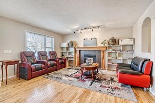 Photo 10: 984 Copperfield Boulevard SE in Calgary: Copperfield Detached for sale : MLS®# A2028253