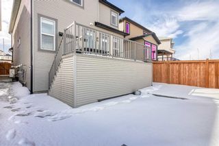 Photo 35: 120 Nolancrest Circle NW in Calgary: Nolan Hill Detached for sale : MLS®# A2114838