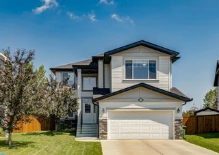 Photo 1: 176 Hawkmere Way: Chestermere Detached for sale : MLS®# A1129210
