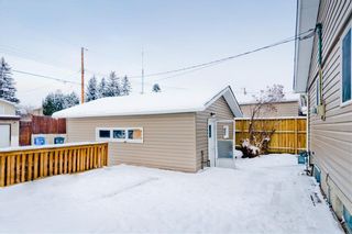 Photo 29: 100 DOVERVIEW Place SE in Calgary: Dover Detached for sale : MLS®# A1024220