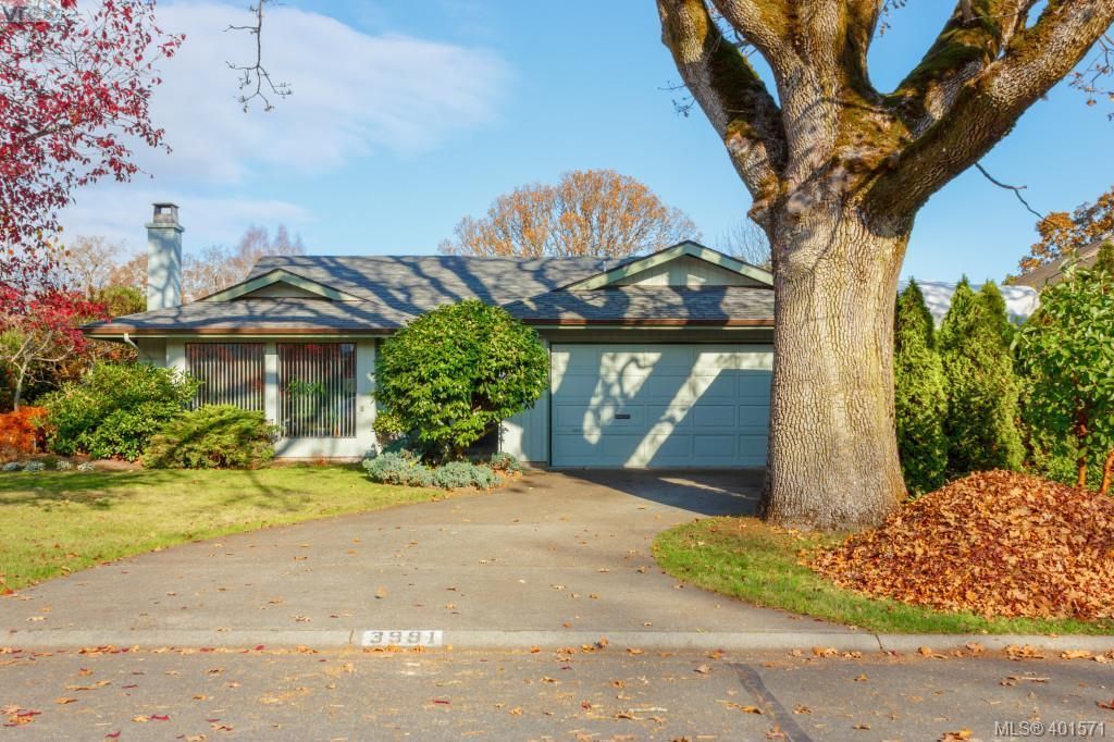 Main Photo: 3991 Hopesmore Dr in VICTORIA: SE Mt Doug House for sale (Saanich East)  : MLS®# 801374