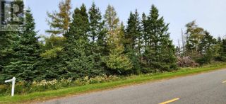 Photo 3: Route 324 Peters Road in Peters Road: Vacant Land for sale : MLS®# 202320831