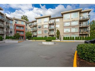 Photo 5: C310 20211 66 Avenue in Langley: Willoughby Heights Condo for sale in "Elements" : MLS®# R2501284