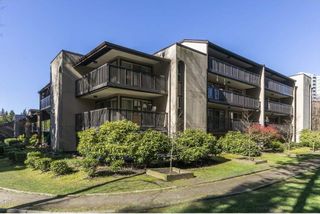 Photo 36: 509 9867 MANCHESTER Drive in Burnaby: Cariboo Condo for sale in "BARCLAY WOODS" (Burnaby North)  : MLS®# R2865204