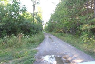 Photo 21: Lt 27 Ramblewood Trail in Kawartha Lakes: Rural Bexley Property for sale : MLS®# X4857401