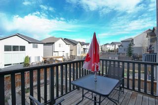 Photo 41: 75 Panamount Common NW in Calgary: Panorama Hills Detached for sale : MLS®# A1208697