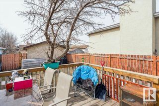 Photo 31: 4132 36 Street in Edmonton: Zone 29 House for sale : MLS®# E4381864