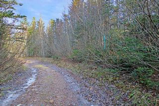 Photo 11: Lot Arlington Road in Mount Hanley: Annapolis County Vacant Land for sale (Annapolis Valley)  : MLS®# 202400387