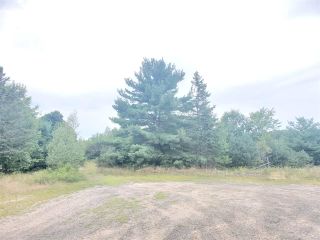 Photo 1: Lots 16 & 18 West Road in Auburn: 404-Kings County Vacant Land for sale (Annapolis Valley)  : MLS®# 202016873