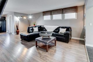 Photo 3: 46 Skyview Point Link NE in Calgary: Skyview Ranch Semi Detached for sale : MLS®# A1195627
