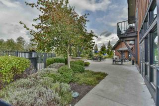 Photo 38: 55 31098 WESTRIDGE Place in Abbotsford: Abbotsford West Townhouse for sale in "Hartwell" : MLS®# R2511908