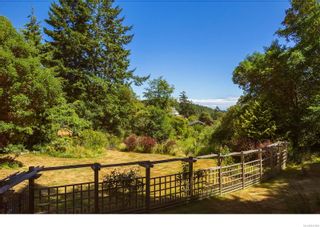 Photo 42: 1020 Matheson Lake Park Rd in Metchosin: Me Pedder Bay House for sale : MLS®# 937608