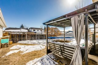 Photo 27: 137 Coventry Place NE in Calgary: Coventry Hills Detached for sale : MLS®# A2033662