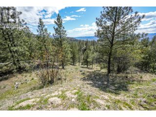 Photo 25: 222 Grizzly Place in Osoyoos: Vacant Land for sale : MLS®# 10310334