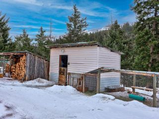 Photo 57: 9701 MAMIT LAKE ROAD: Merritt House for sale (South West)  : MLS®# 171086