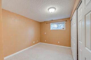 Photo 23: 3403 Caribou Drive NW in Calgary: Collingwood Detached for sale : MLS®# A2020995