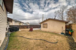 Photo 43: 1328 Pennsburg Road SE in Calgary: Penbrooke Meadows Detached for sale : MLS®# A2122867