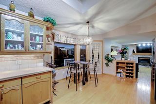 Photo 13: 58 Applecrest Place SE in Calgary: Applewood Park Detached for sale : MLS®# A1188820