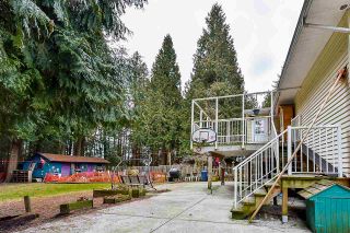 Photo 16: 12768 60 Avenue in Surrey: Panorama Ridge House for sale : MLS®# R2149274