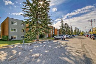 Photo 49: 302 3506 44 Street SW in Calgary: Glenbrook Apartment for sale : MLS®# A2079706