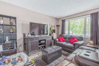 Photo 4: 14 12 Templewood Drive NE in Calgary: Temple Row/Townhouse for sale : MLS®# A2052512