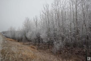 Photo 18: 49252 Rge Rd 42: Rural Leduc County Vacant Lot/Land for sale : MLS®# E4369568