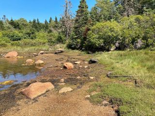 Photo 5: Lot 5A East Dover Road in East Dover: 40-Timberlea, Prospect, St. Marg Vacant Land for sale (Halifax-Dartmouth)  : MLS®# 202402348