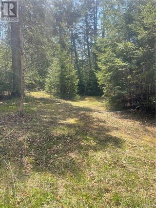 Photo 6: 433 Shore Road in Breadalbane: Vacant Land for sale : MLS®# NB086598