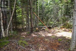Photo 32: Lot 2 Blue Rocks Road in Garden Lots: Vacant Land for sale : MLS®# 202311970