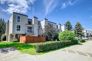 Photo 4: 203 13104 Elbow Drive SW in Calgary: Canyon Meadows Row/Townhouse for sale : MLS®# A1238343
